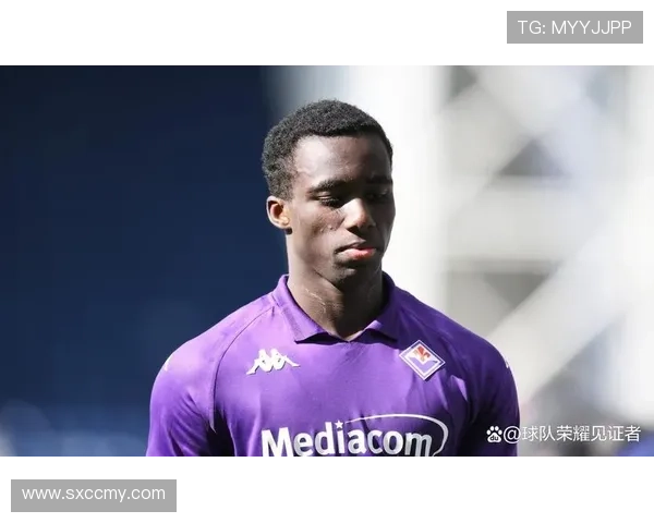 从社区草根到英超舞台布伦特福德足球俱乐部崛起与运营之路全解析