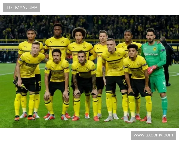 普鲁士多特蒙德俱乐部百年荣耀与青春风暴的传奇征程欧洲赛场梦想