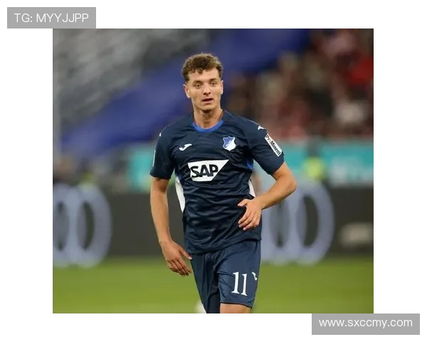 霍芬海姆1899俱乐部引援计划公布 新赛季目标锁定欧洲赛场资格