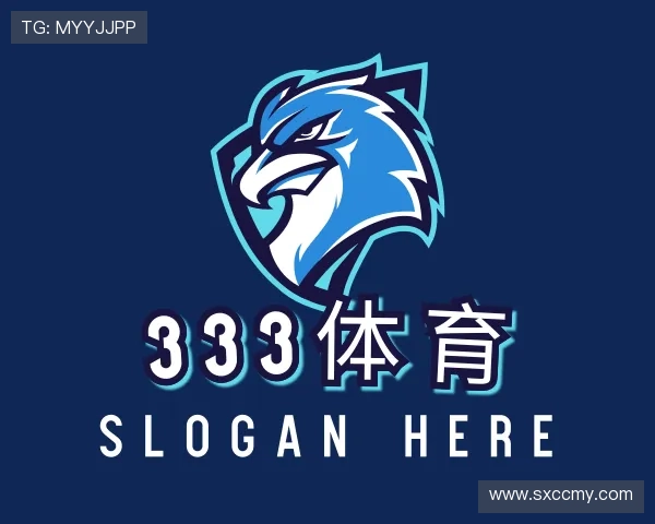 介绍333体育